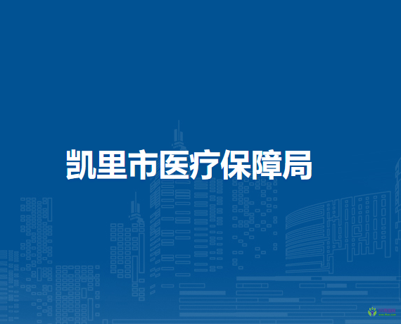 凱里市醫(yī)療保障局