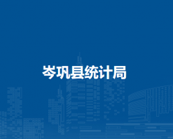 岑鞏縣統(tǒng)計(jì)局