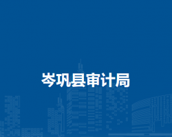 岑鞏縣審計(jì)局