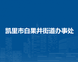 凱里市白果井街道辦事處
