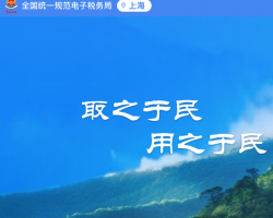 上海市電子稅務(wù)局