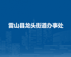 雷山縣龍頭街道辦事處