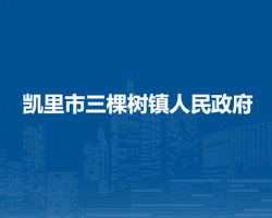凱里市三棵樹鎮(zhèn)人民政府