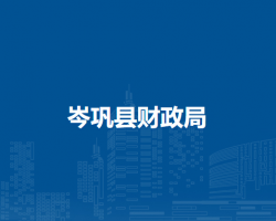 岑鞏縣財政局