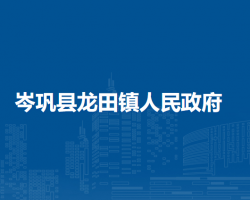 岑鞏縣龍?zhí)镦?zhèn)人民政府