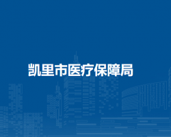 凱里市醫(yī)療保障局