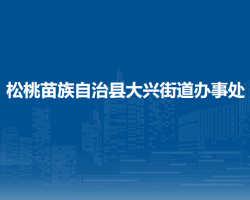 松桃苗族自治縣大興街道辦