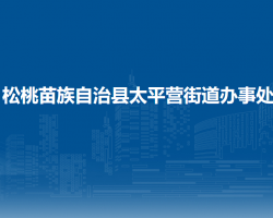 松桃苗族自治縣太平營街道辦事處