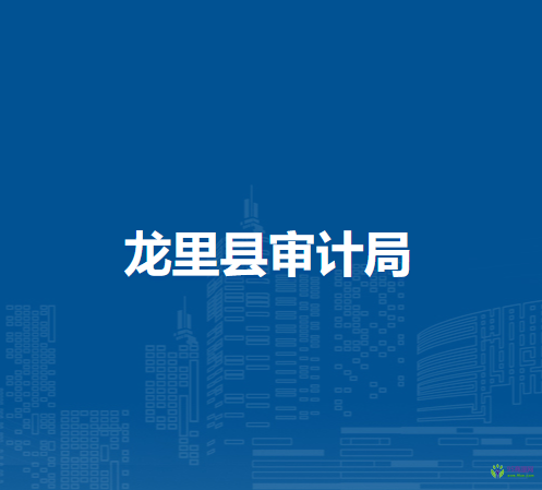 龍里縣審計局