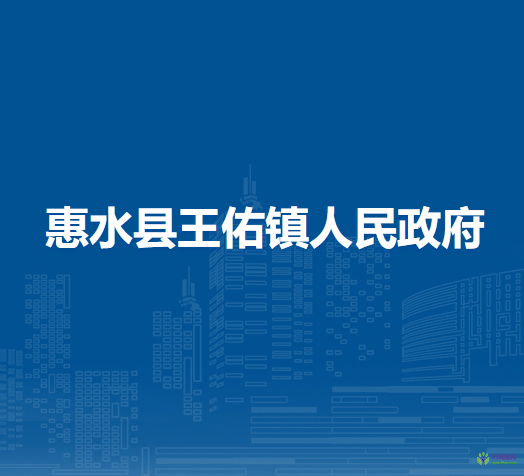 惠水縣王佑鎮(zhèn)人民政府