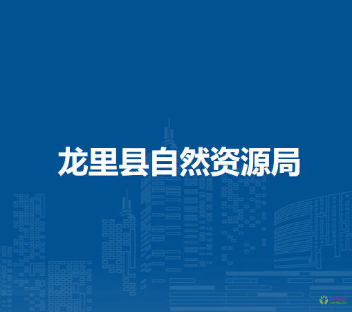 龍里縣自然資源局