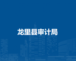 龍里縣審計局