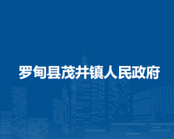 羅甸縣茂井鎮(zhèn)人民政府