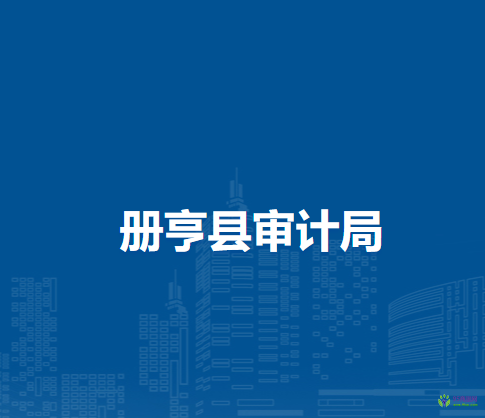 冊亨縣審計(jì)局