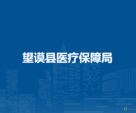 望謨縣醫(yī)療保障局