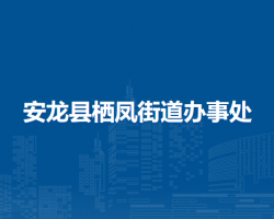 安龍縣棲鳳街道辦事處
