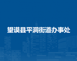 望謨縣平洞街道辦事處