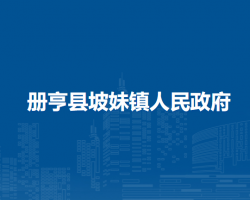 冊(cè)亨縣坡妹鎮(zhèn)人民政府