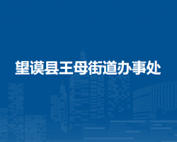 望謨縣王母街道辦事處