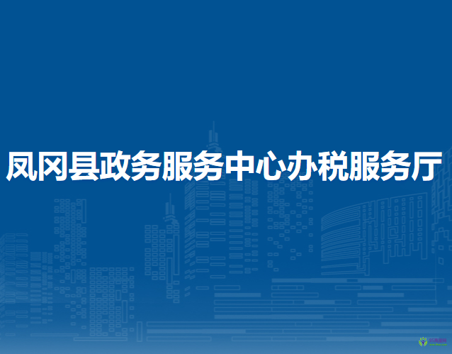 鳳岡縣政務服務中心辦稅服務廳
