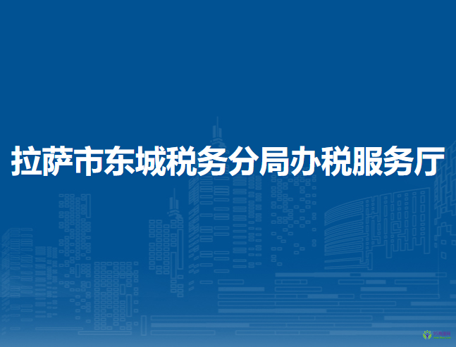 拉薩市東城稅務(wù)分局辦稅服務(wù)廳
