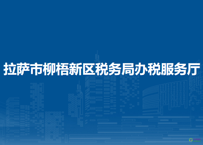 拉薩市柳梧新區(qū)稅務局辦稅服務廳