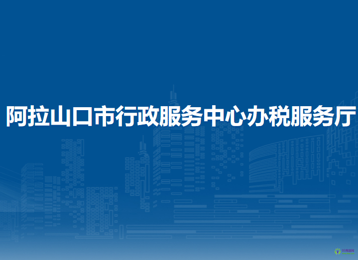 阿拉山口市行政服務中心辦稅服務廳