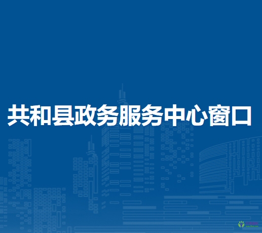 共和縣政務(wù)服務(wù)中心辦稅服務(wù)窗口