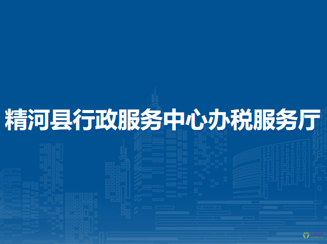 精河縣行政服務中心辦稅服務廳
