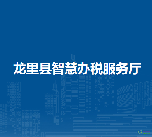 龍里縣智慧辦稅服務(wù)廳