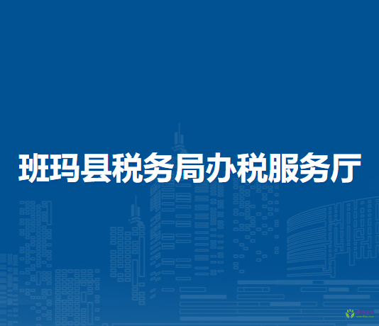 班瑪縣稅務(wù)局辦稅服務(wù)廳