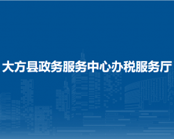 大方縣政務(wù)服務(wù)中心辦稅服務(wù)廳