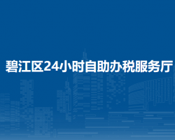 銅仁市碧江區(qū)24小時(shí)自助辦稅服務(wù)廳