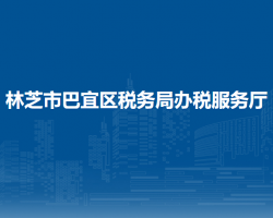 林芝市巴宜區(qū)稅務(wù)局辦稅服