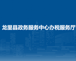 龍里縣政務(wù)服務(wù)中心辦稅服