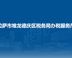 拉薩市堆龍德慶區(qū)稅務(wù)局辦稅服務(wù)廳