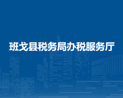 班戈縣稅務(wù)局辦稅服務(wù)廳
