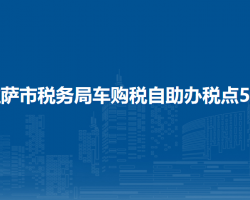 拉薩市稅務(wù)局車購稅自助辦