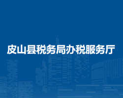 皮山縣稅務(wù)局辦稅服務(wù)廳