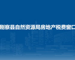 剛察縣自然資源局房地產(chǎn)稅