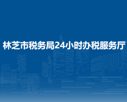 林芝市稅務(wù)局24小時(shí)辦稅