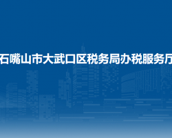 石嘴山市大武口區(qū)稅務(wù)局辦稅服務(wù)廳