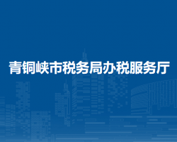 青銅峽市稅務局辦稅服務廳