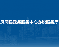 鳳岡縣政務(wù)服務(wù)中心辦稅服務(wù)廳