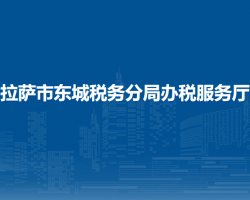 拉薩市東城稅務(wù)分局辦稅服務(wù)廳