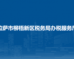 拉薩市柳梧新區(qū)稅務(wù)局辦稅