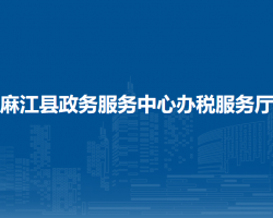 麻江縣政務(wù)服務(wù)中心辦稅服