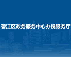 銅仁市碧江區(qū)政務(wù)服務(wù)中心辦稅服務(wù)廳