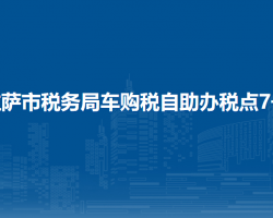 拉薩市稅務(wù)局車購稅自助辦
