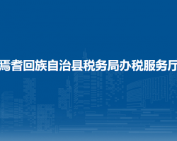 焉耆回族自治縣稅務(wù)局辦稅